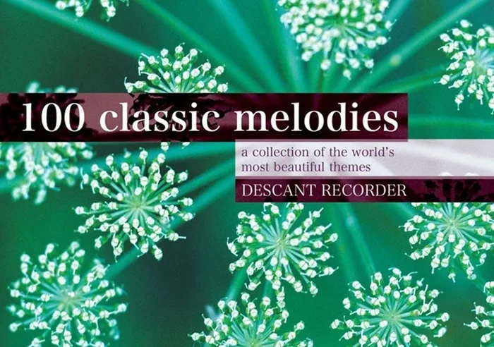 100 Classic Melodies For Descant Recorder Softcover Book (Descant Recorder)