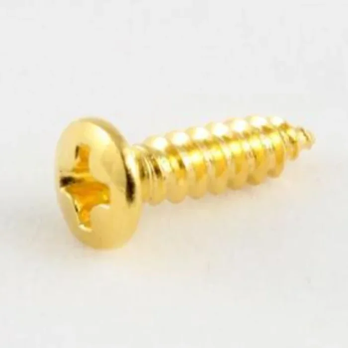 Allparts Single Pickguard Screw in Gold – SNGLGS0001002