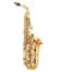 Amazing – Alto Saxophone – Faber Digital