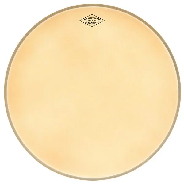 Aquarian 12″ Modern Vintage Coated