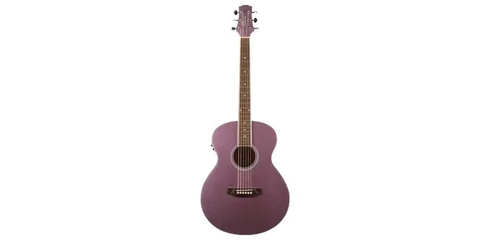 Ashton SL20EQLS Slimline Acoustic Eq