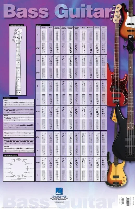 Bass Guitar Poster 22 x 34 Inch (Poster)