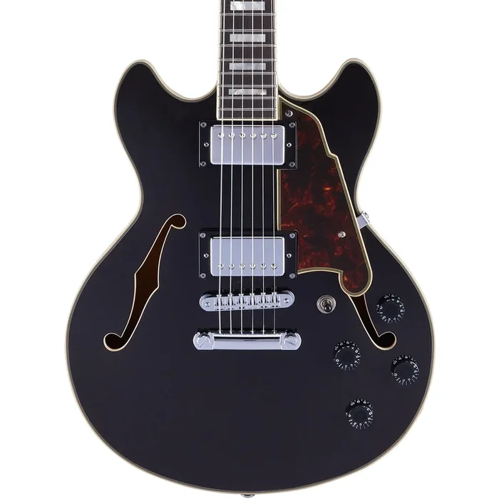 D’Angelico Premier Mini DC Semi-Hollow Electric Guitar – Black Flake