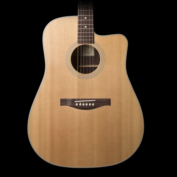 Eastman AC220CE Dreadnought Acoustic Electric Guitar w/ Gig Bag (AC220CE)