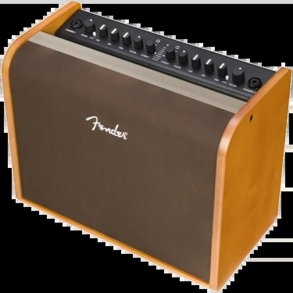 Fender Acoustic 100 Watt Acoustic Amplifier – 2314000000