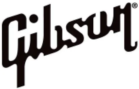 Gibson Tortoise Picks 12 Pack Thin