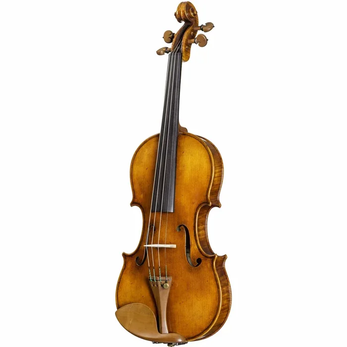 Howard Core Select 2900 Violin