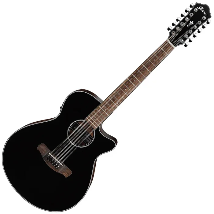 Ibanez AEG Series 12 String Acoustic Electric in Black – AEG5012BK