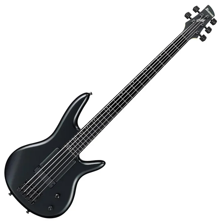 Ibanez Gary Willis Signature 5 String Electric Bass in Black Flat – GWB35BKF