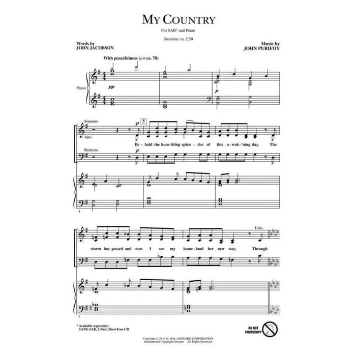 Purifoy, John – My Country