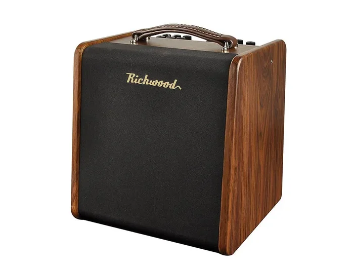 Richwood acoustic guitar amplifier