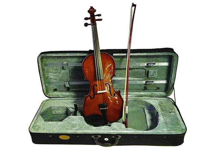 Stentor Student 2 14 Inch Viola Pack Includes Viola Case Bow Rosin