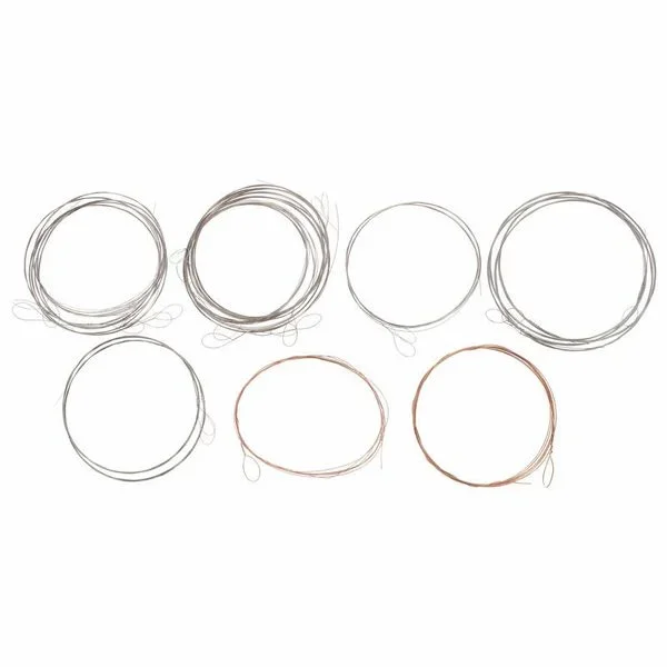 Thomann Nataraj Sarod Strings Set