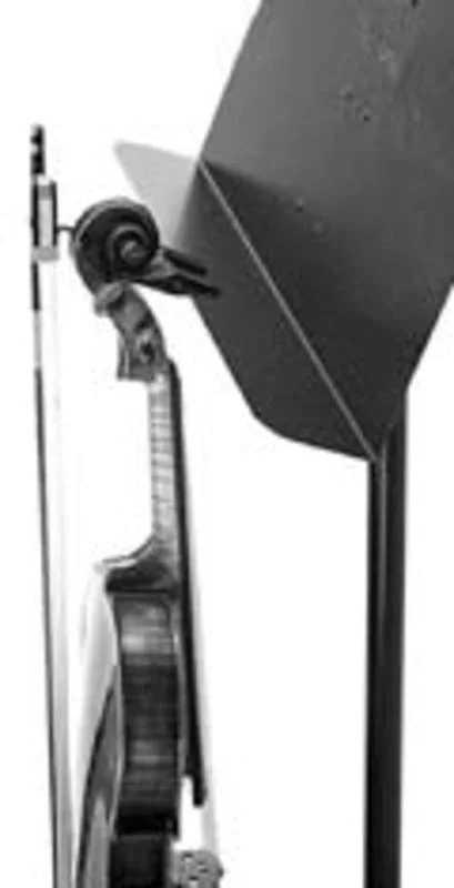 Violin / Viola Holder