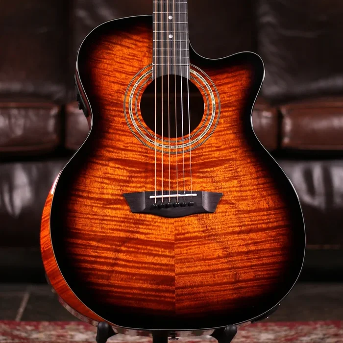 Washburn WCG12FCE